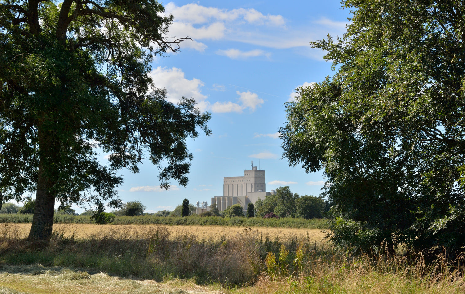 Beautiful view of Heygate Flour Millers from behind trees and fields